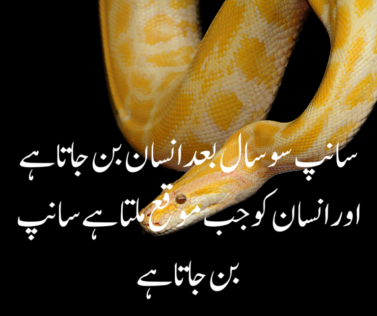 Urdu Quotes